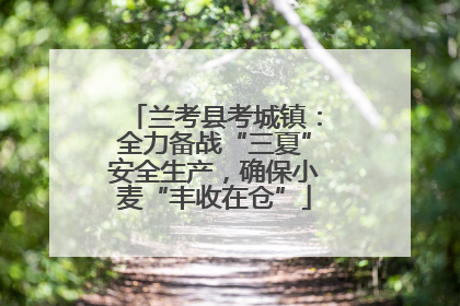 兰考县考城镇：全力备战“三夏”安全生产，确保小麦“丰收在仓”
