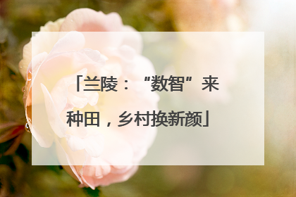 兰陵：“数智”来种田，乡村换新颜