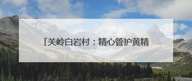 关岭白岩村：精心管护黄精基地 助力产业提质增效