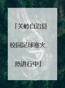 关岭自治县校园足球赛火热进行中
