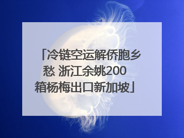 冷链空运解侨胞乡愁 浙江余姚200箱杨梅出口新加坡