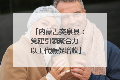 内蒙古突泉县：党建引领聚合力 以工代赈促增收