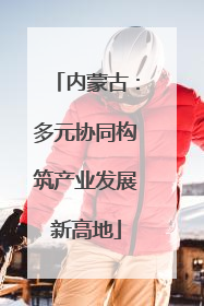 内蒙古：多元协同构筑产业发展新高地