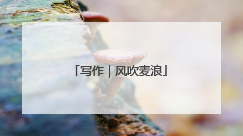 写作｜风吹麦浪