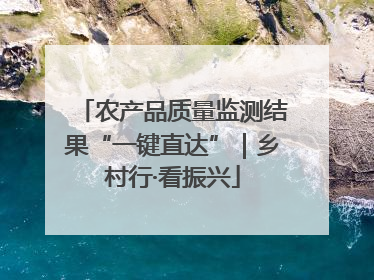 农产品质量监测结果“一键直达”｜乡村行·看振兴