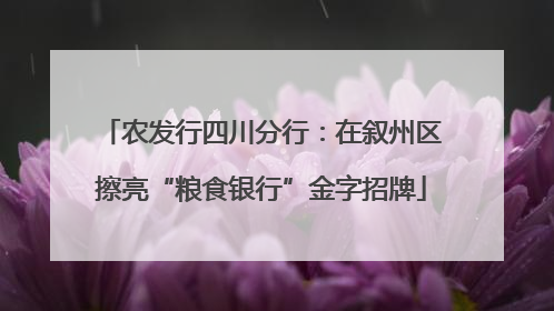 农发行四川分行：在叙州区擦亮“粮食银行”金字招牌