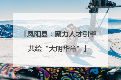 凤阳县：聚力人才引擎 共绘“大明华章”