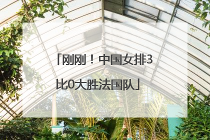 刚刚！中国女排3比0大胜法国队