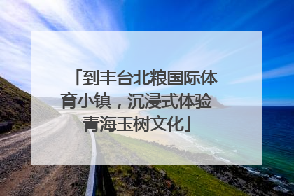 到丰台北粮国际体育小镇，沉浸式体验青海玉树文化