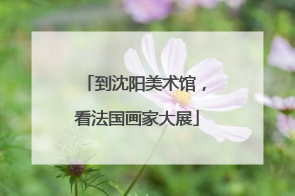 到沈阳美术馆，看法国画家大展