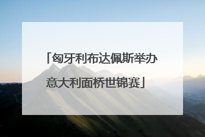 匈牙利布达佩斯举办意大利面桥世锦赛