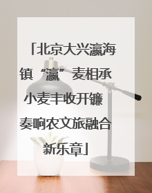 北京大兴瀛海镇“瀛”麦相承小麦丰收开镰 奏响农文旅融合新乐章
