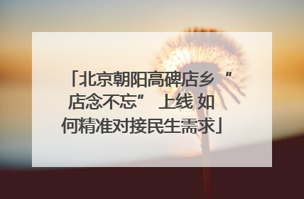 北京朝阳高碑店乡“店念不忘” 上线 如何精准对接民生需求