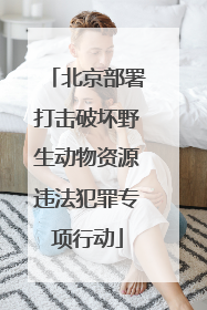 北京部署打击破坏野生动物资源违法犯罪专项行动