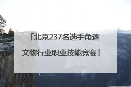 北京237名选手角逐文物行业职业技能竞赛