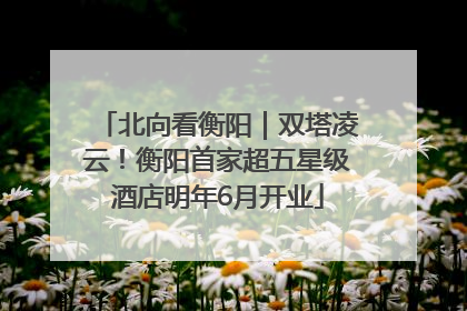 北向看衡阳｜双塔凌云！衡阳首家超五星级酒店明年6月开业