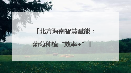 北方海南智慧赋能：葡萄种植“效率+”