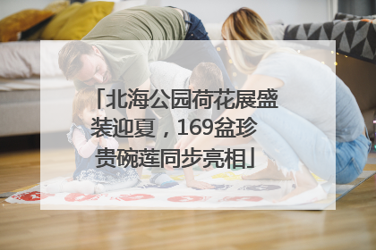 北海公园荷花展盛装迎夏，169盆珍贵碗莲同步亮相
