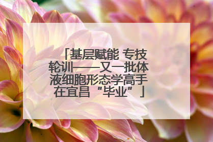 基层赋能 专技轮训——又一批体液细胞形态学高手在宜昌“毕业”