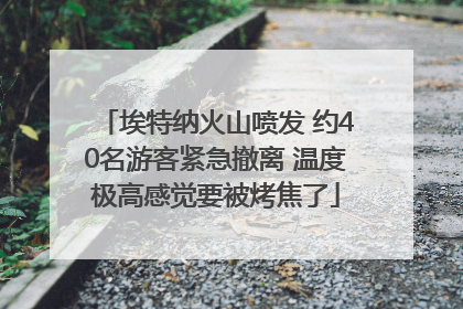埃特纳火山喷发 约40名游客紧急撤离 温度极高感觉要被烤焦了