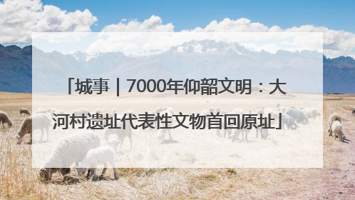 城事｜7000年仰韶文明：大河村遗址代表性文物首回原址