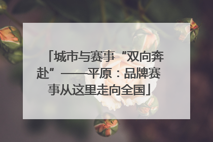 城市与赛事“双向奔赴”——平原：品牌赛事从这里走向全国
