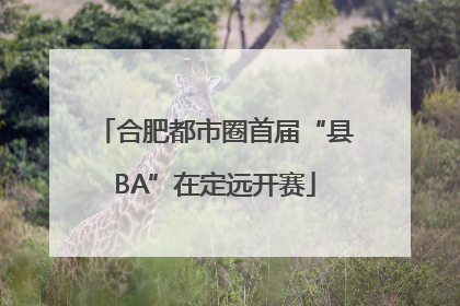 合肥都市圈首届“县BA”在定远开赛