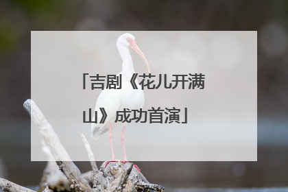 吉剧《花儿开满山》成功首演