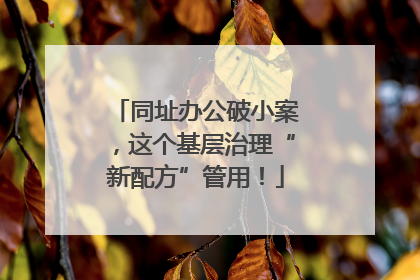 同址办公破小案，这个基层治理“新配方”管用！