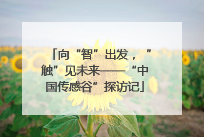 向“智”出发，“触”见未来——“中国传感谷”探访记