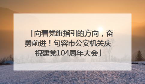 向着党旗指引的方向，奋勇前进！句容市公安机关庆祝建党104周年大会