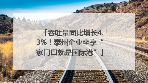 吞吐量同比增长4.3%！泰州企业坐享“家门口就是国际港”