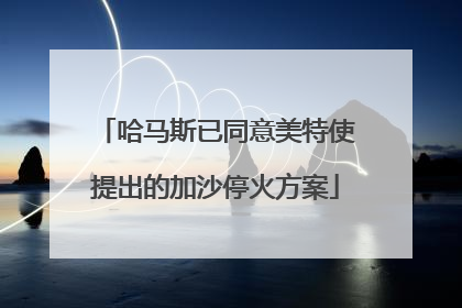 哈马斯已同意美特使提出的加沙停火方案