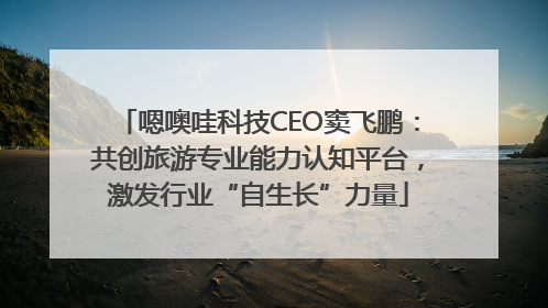 嗯噢哇科技CEO窦飞鹏：共创旅游专业能力认知平台，激发行业“自生长”力量