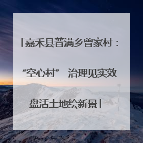 嘉禾县普满乡曾家村：“空心村” 治理见实效 盘活土地绘新景