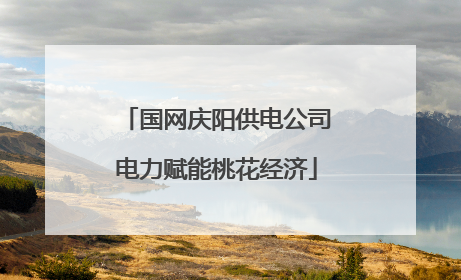国网庆阳供电公司电力赋能桃花经济