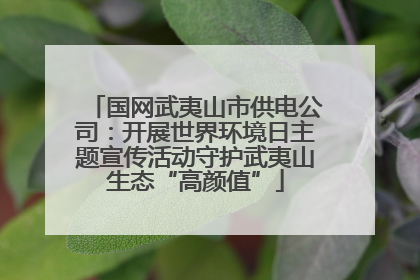 国网武夷山市供电公司：开展世界环境日主题宣传活动守护武夷山生态“高颜值”