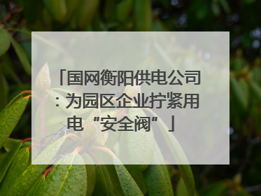 国网衡阳供电公司：为园区企业拧紧用电“安全阀”