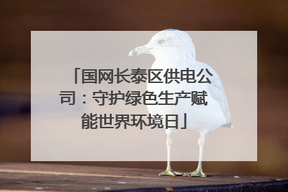 国网长泰区供电公司：守护绿色生产赋能世界环境日