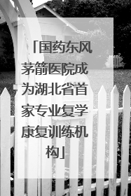 国药东风茅箭医院成为湖北省首家专业复学康复训练机构