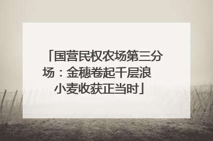国营民权农场第三分场：金穗卷起千层浪 小麦收获正当时