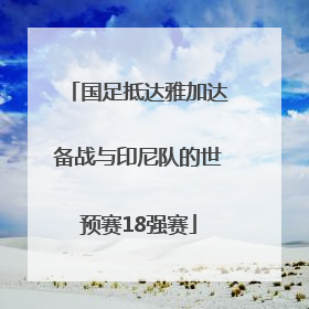 国足抵达雅加达备战与印尼队的世预赛18强赛