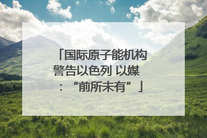 国际原子能机构警告以色列 以媒：“前所未有”