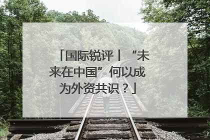 国际锐评丨“未来在中国”何以成为外资共识？