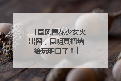 国风簪花少女火出圈，昆明真把墙绘玩明白了！