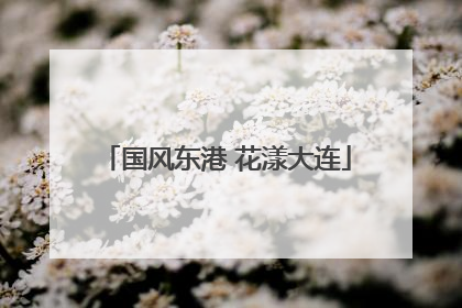 国风东港 花漾大连