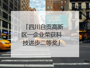四川自贡高新区一企业荣获科技进步二等奖