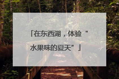 在东西湖，体验“水果味的夏天”