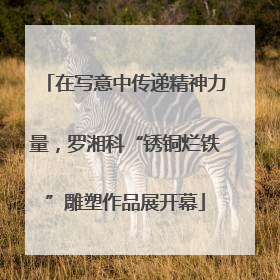 在写意中传递精神力量，罗湘科“锈铜烂铁”雕塑作品展开幕