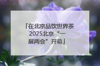 在北京品饮世界茶 2025北京“一展两会”开幕